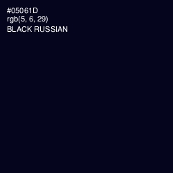 #05061D - Black Russian Color Image